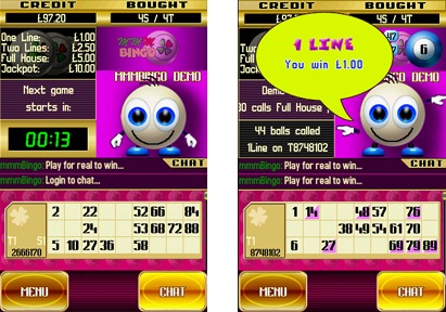 Preview Bingo mFortune